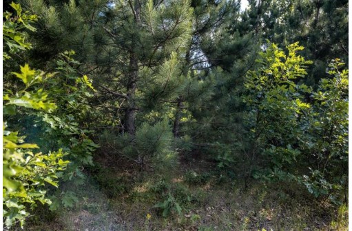 LOT 6 Highway 80, Necedah, WI 54646