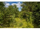 LOT 6 Highway 80, Necedah, WI 54646