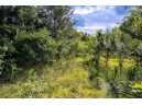 LOT 6 Highway 80, Necedah, WI 54646