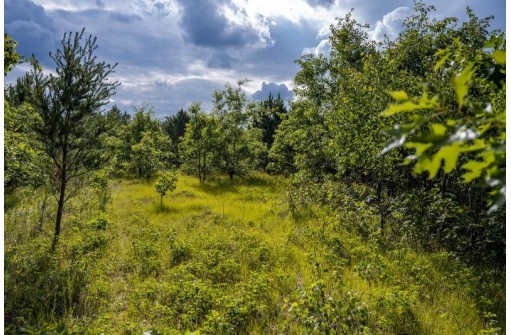 LOT 6 Highway 80, Necedah, WI 54646