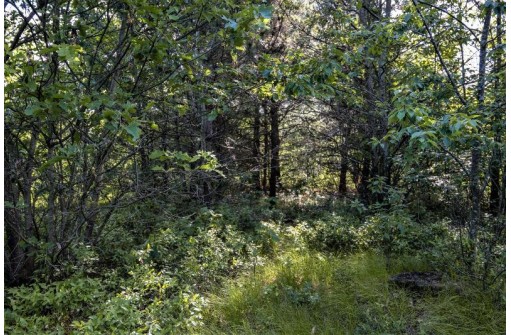 LOT 6 Highway 80, Necedah, WI 54646