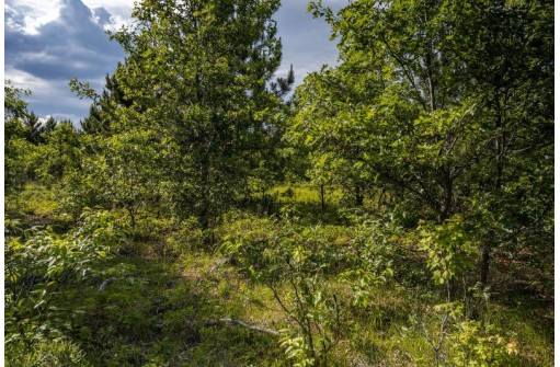 LOT 6 Highway 80, Necedah, WI 54646