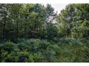 LOT 6 Highway 80, Necedah, WI 54646