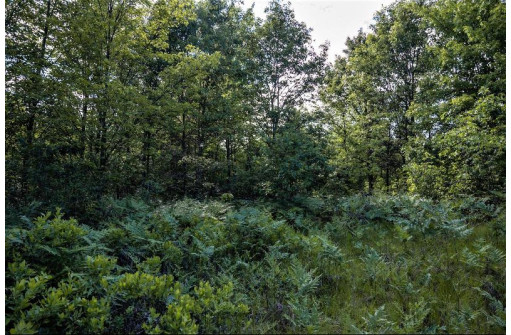 LOT 6 Highway 80, Necedah, WI 54646