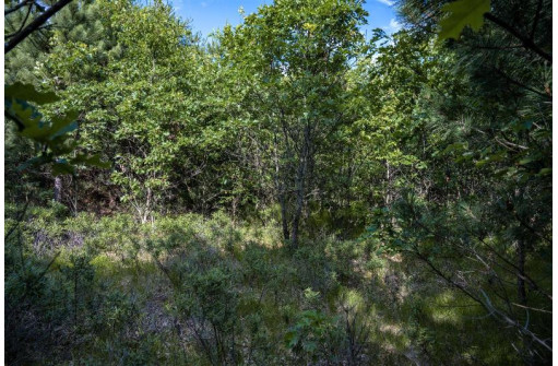 LOT 6 Highway 80, Necedah, WI 54646