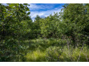 LOT 6 Highway 80, Necedah, WI 54646