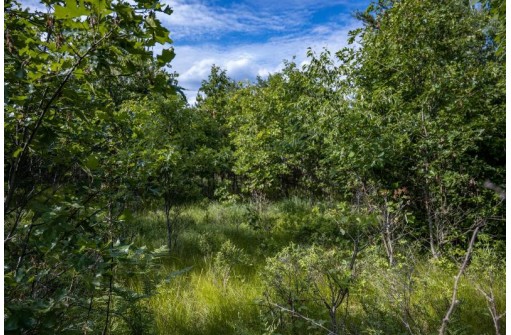 LOT 6 Highway 80, Necedah, WI 54646