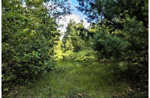 LOT 6 Highway 80, Necedah, WI 54646