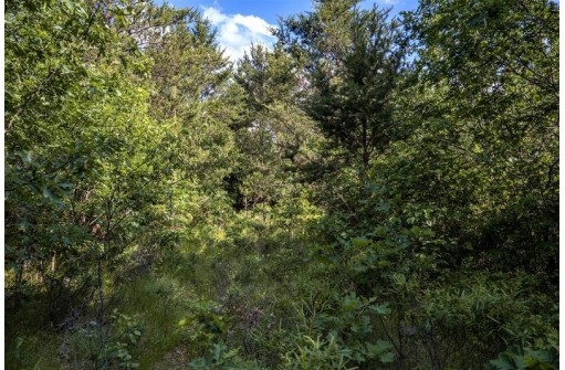 LOT 6 Highway 80, Necedah, WI 54646