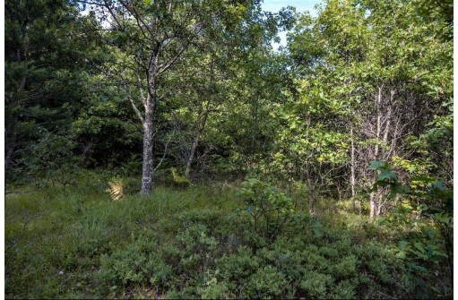 LOT 6 Highway 80, Necedah, WI 54646