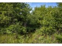 LOT 6 Highway 80, Necedah, WI 54646