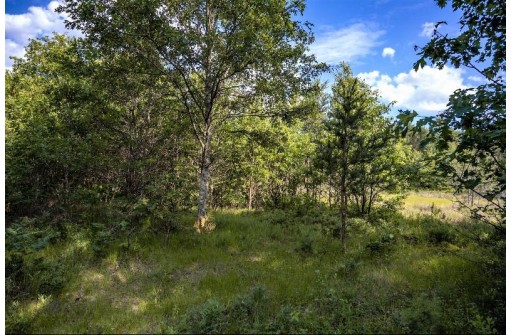 LOT 6 Highway 80, Necedah, WI 54646