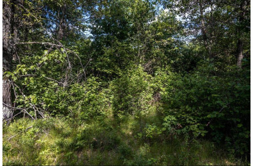 LOT 6 Highway 80, Necedah, WI 54646