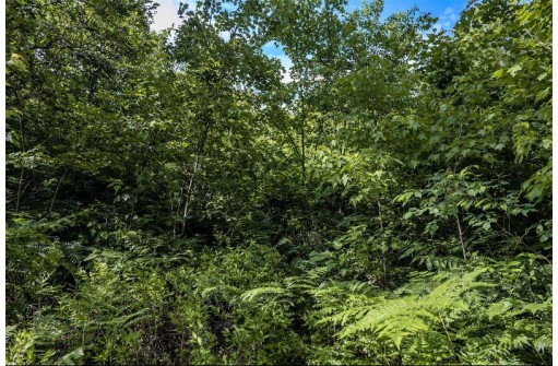 LOT 6 Highway 80, Necedah, WI 54646