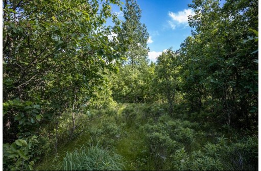 LOT 6 Highway 80, Necedah, WI 54646