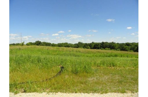 LOT 3 County Road S, Mount Horeb, WI 53572