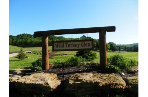 L1 Wild Turkey Lane, Richland Center, WI 53581