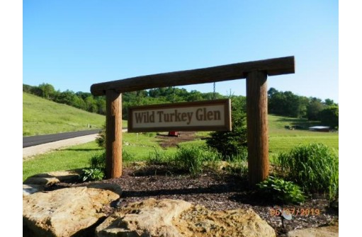 L8 Wild Turkey Lane, Richland Center, WI 53581