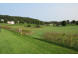 LOT 23 White Tail Trail Richland Center, WI 53581