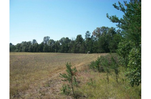 38 ACRES 18th St, Necedah, WI 54646