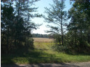 38 ACRES 18th St, Necedah, WI 54646