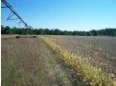 38 ACRES 18th St, Necedah, WI 54646