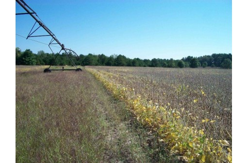 38 ACRES 18th St, Necedah, WI 54646