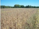 38 ACRES 18th St, Necedah, WI 54646