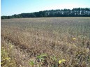 38 ACRES 18th St, Necedah, WI 54646