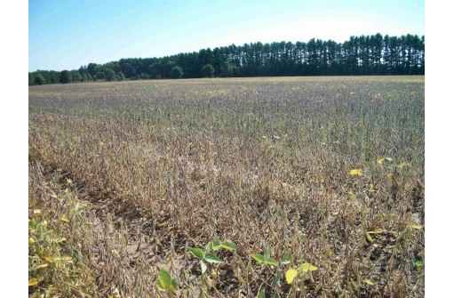 38 ACRES 18th St, Necedah, WI 54646