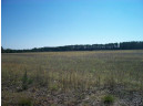 38 ACRES 18th St, Necedah, WI 54646