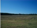 38 ACRES 18th St, Necedah, WI 54646