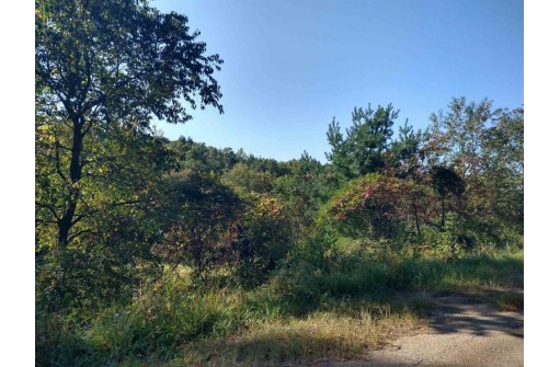 N2396 Bobcat Lake Road, Elroy, WI 53929