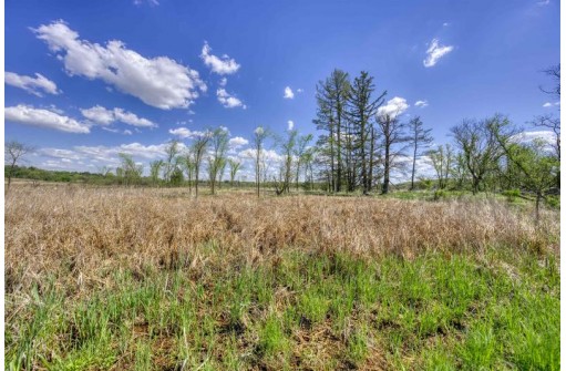 77+/- ACRES County Road W, Union Center, WI 53962