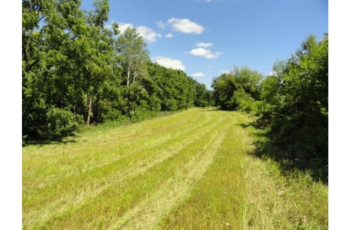 LOT 1 County Road S, Mount Horeb, WI 53572