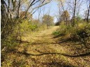 95 ACRES Highway 13, Wisconsin Dells, WI 53965