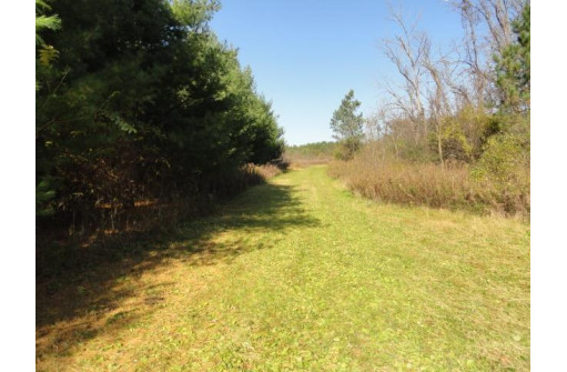 95 ACRES Highway 13, Wisconsin Dells, WI 53965