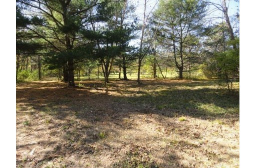 95 ACRES Highway 13, Wisconsin Dells, WI 53965