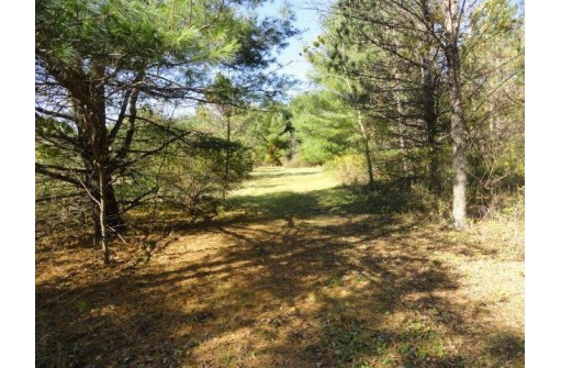 95 ACRES Highway 13, Wisconsin Dells, WI 53965