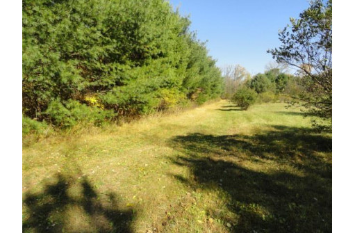 95 ACRES Highway 13, Wisconsin Dells, WI 53965