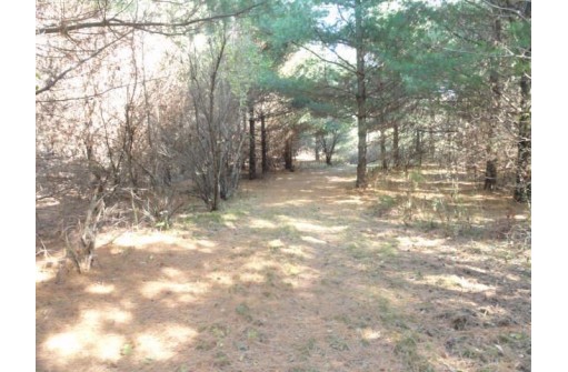 95 ACRES Highway 13, Wisconsin Dells, WI 53965