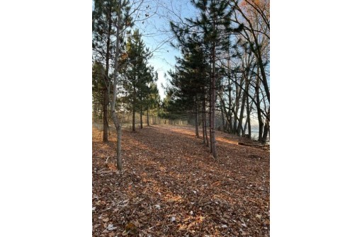 95 ACRES Highway 13, Wisconsin Dells, WI 53965