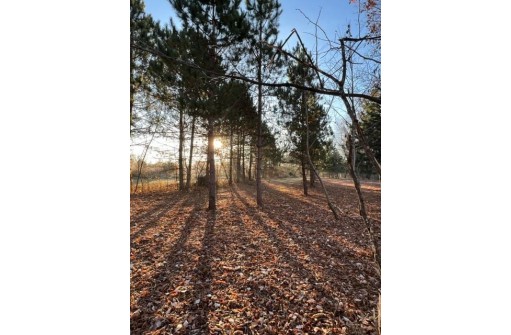 95 ACRES Highway 13, Wisconsin Dells, WI 53965