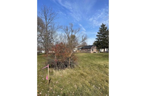 LOT Badger Street, Pardeeville, WI 53954