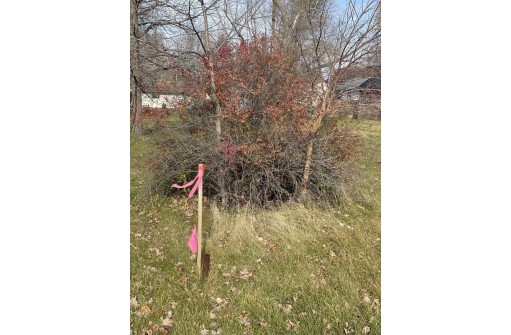 LOT Badger Street, Pardeeville, WI 53954