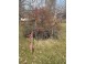 LOT Badger Street Pardeeville, WI 53954