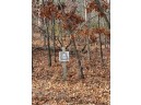 LOT 20 Christmas Mountain Road, Wisconsin Dells, WI 53965