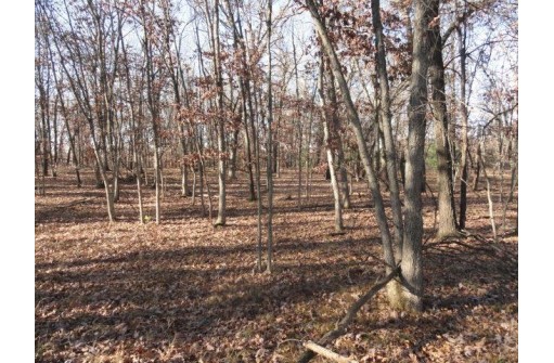 LOT 4 High Ridge Road, Mauston, WI 53948