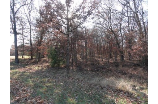 LOT 4 High Ridge Road, Mauston, WI 53948