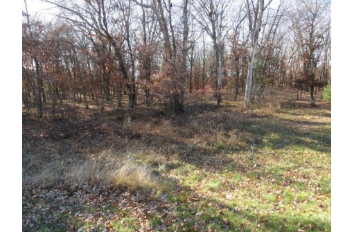 LOT 4 High Ridge Road, Mauston, WI 53948